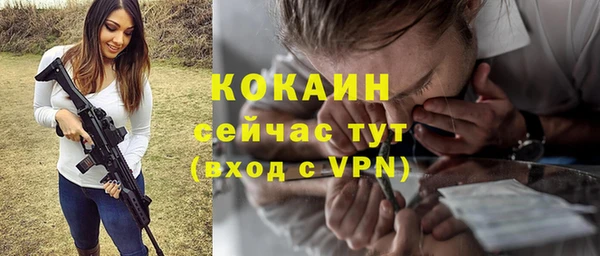 сатива Арсеньев