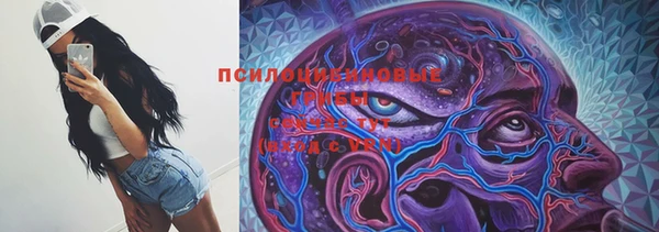 сатива Арсеньев