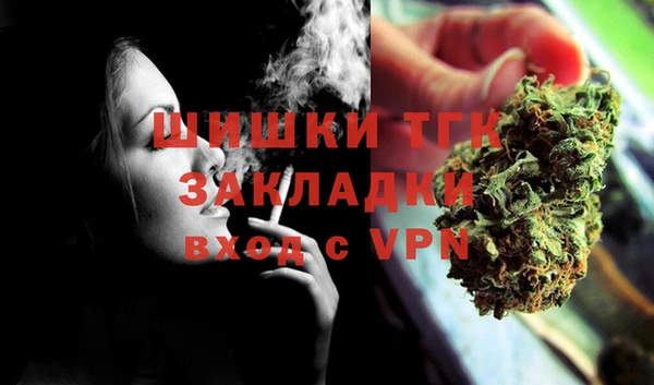 spice Аркадак