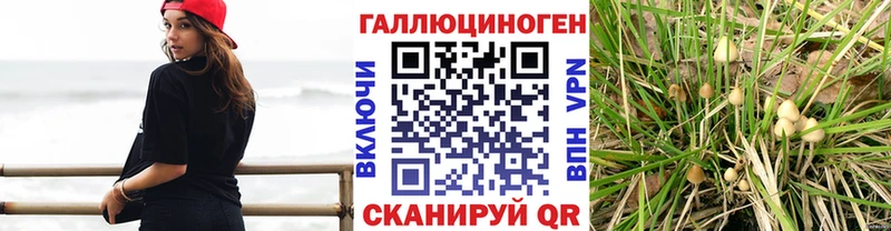 Купить  Первомайск  Галлюциногенные грибы MAGIC MUSHROOMS 